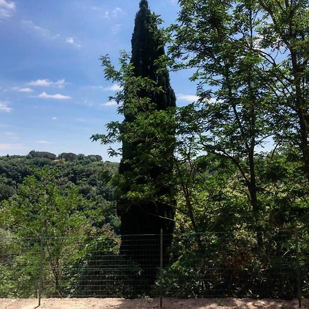 La Casa All'Oliveto Питильяно Экстерьер фото