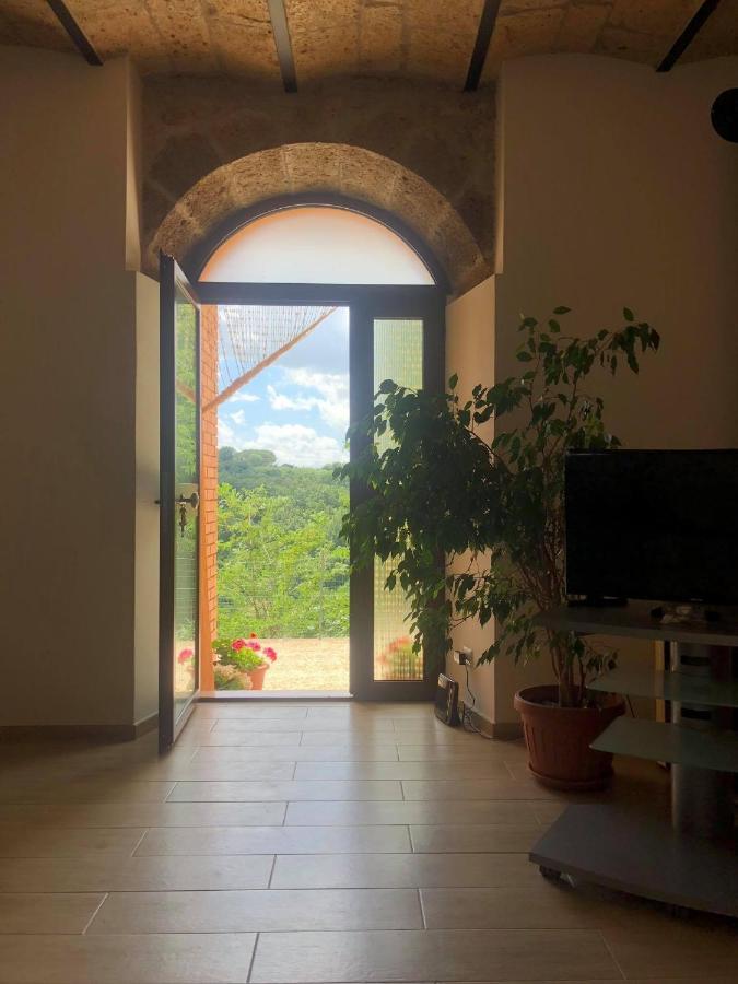 La Casa All'Oliveto Питильяно Экстерьер фото